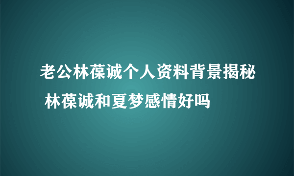 老公林葆诚个人资料背景揭秘 林葆诚和夏梦感情好吗