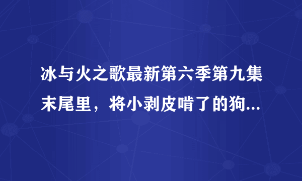 冰与火之歌最新第六季第九集末尾里，将小剥皮啃了的狗是啥品种？