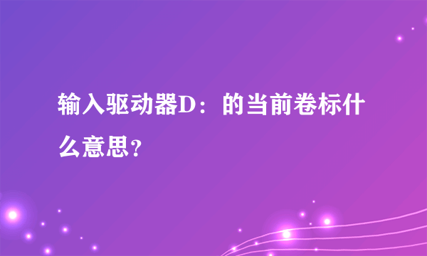 输入驱动器D：的当前卷标什么意思？