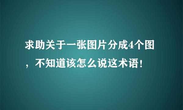 求助关于一张图片分成4个图，不知道该怎么说这术语！