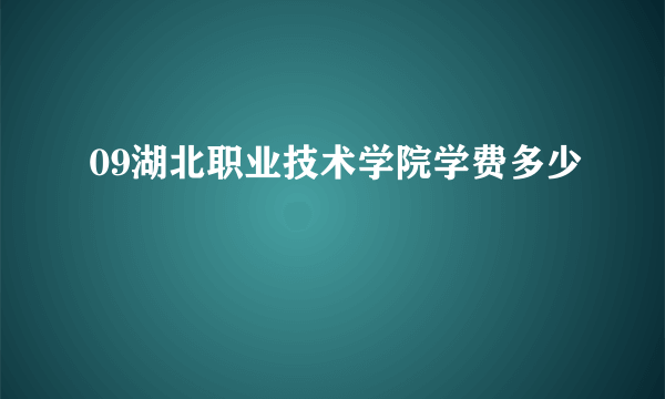 09湖北职业技术学院学费多少