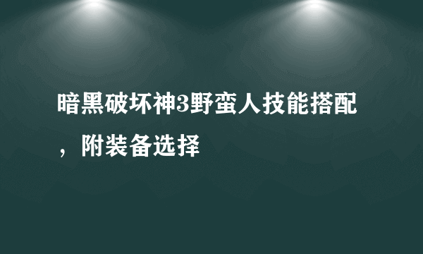 暗黑破坏神3野蛮人技能搭配，附装备选择