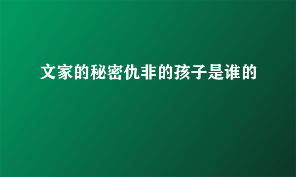 文家的秘密仇非的孩子是谁的