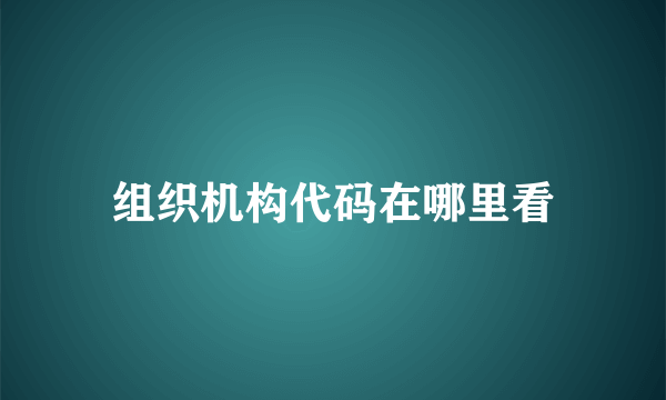 组织机构代码在哪里看