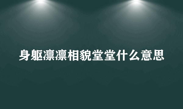 身躯凛凛相貌堂堂什么意思