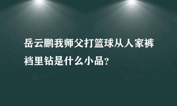 岳云鹏我师父打篮球从人家裤裆里钻是什么小品？