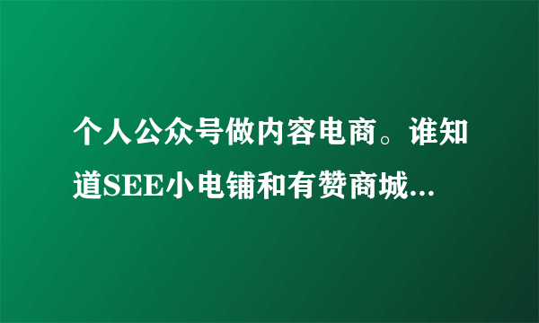 个人公众号做内容电商。谁知道SEE小电铺和有赞商城有什么区别吗？选哪个好？