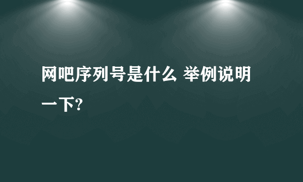 网吧序列号是什么 举例说明一下?