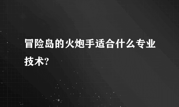 冒险岛的火炮手适合什么专业技术?