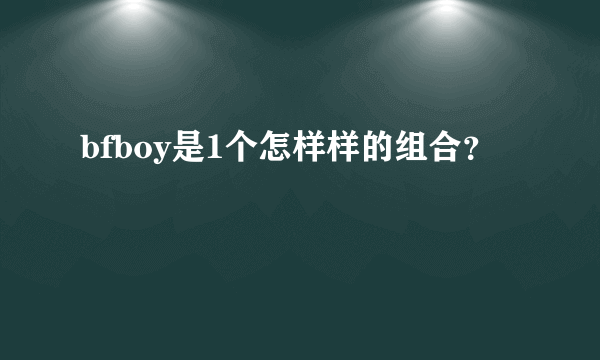 bfboy是1个怎样样的组合？