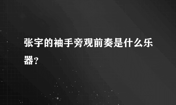 张宇的袖手旁观前奏是什么乐器？