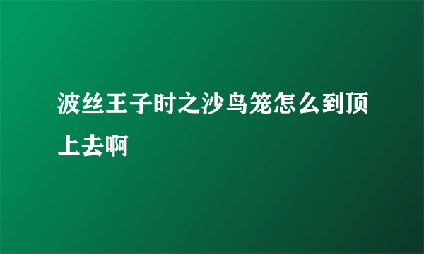 波丝王子时之沙鸟笼怎么到顶上去啊