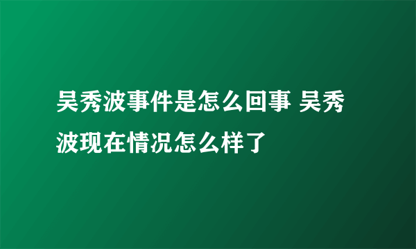 吴秀波事件是怎么回事 吴秀波现在情况怎么样了