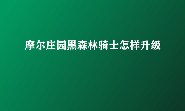 摩尔庄园黑森林骑士怎样升级