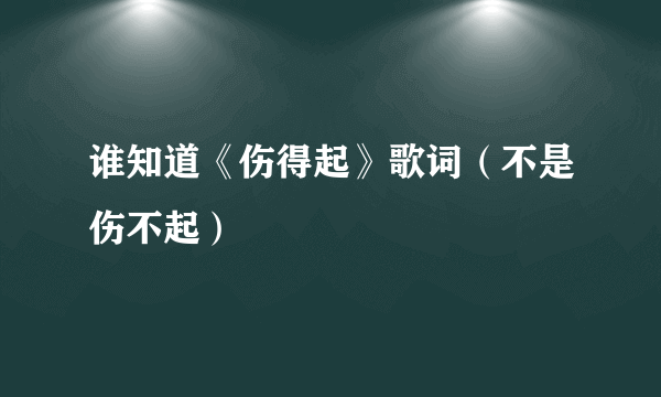 谁知道《伤得起》歌词（不是伤不起）