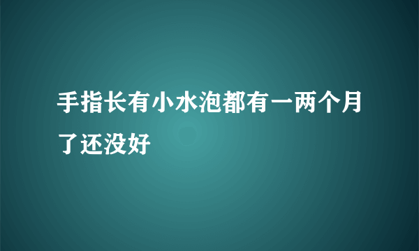 手指长有小水泡都有一两个月了还没好