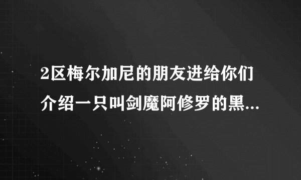 2区梅尔加尼的朋友进给你们介绍一只叫剑魔阿修罗的黑龙B。？