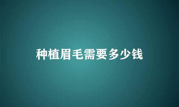 种植眉毛需要多少钱