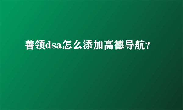 善领dsa怎么添加高德导航？