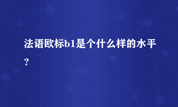 法语欧标b1是个什么样的水平？