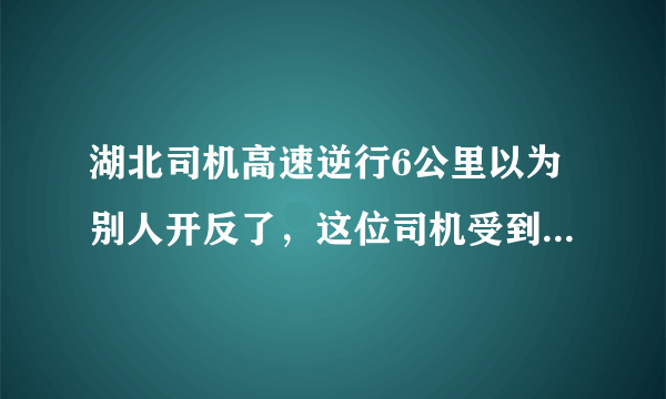 湖北司机高速逆行6公里以为别人开反了，这位司机受到了什么惩罚？