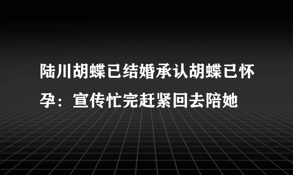 陆川胡蝶已结婚承认胡蝶已怀孕：宣传忙完赶紧回去陪她