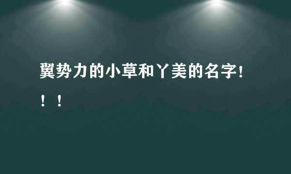 翼势力的小草和丫美的名字！！！