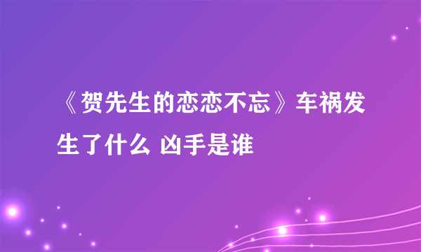 《贺先生的恋恋不忘》车祸发生了什么 凶手是谁