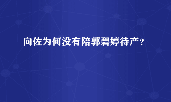 向佐为何没有陪郭碧婷待产？