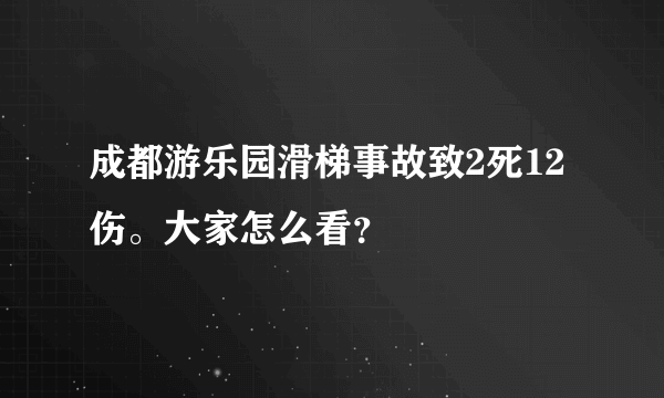 成都游乐园滑梯事故致2死12伤。大家怎么看？