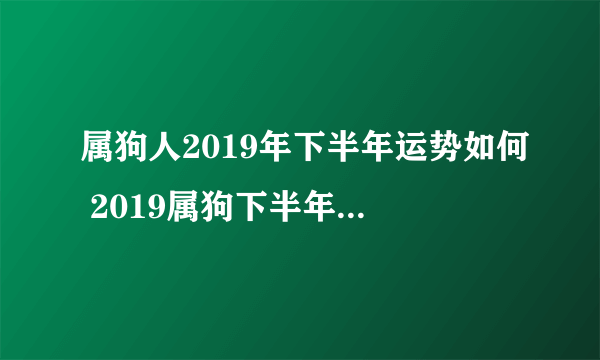 属狗人2019年下半年运势如何 2019属狗下半年运势全解析（最新版）