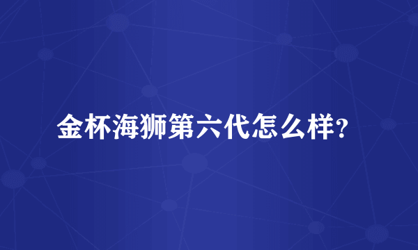 金杯海狮第六代怎么样？