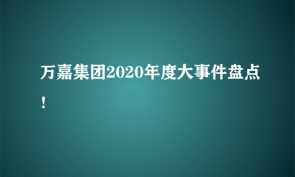 万嘉集团2020年度大事件盘点！