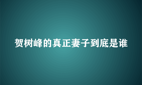 贺树峰的真正妻子到底是谁