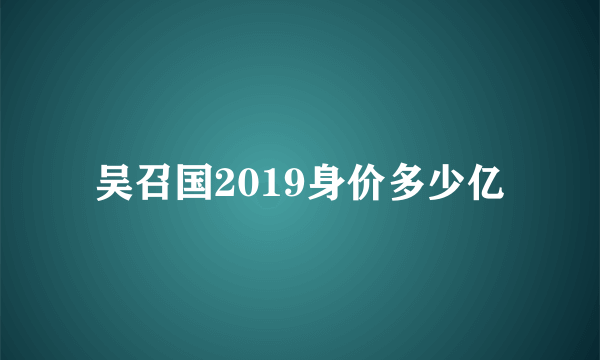 吴召国2019身价多少亿