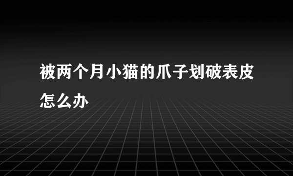 被两个月小猫的爪子划破表皮怎么办