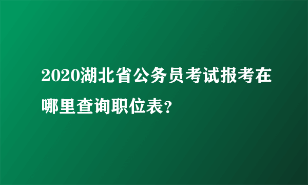 2020湖北省公务员考试报考在哪里查询职位表？