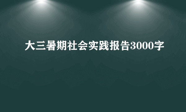 大三暑期社会实践报告3000字