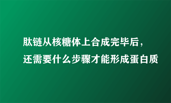 肽链从核糖体上合成完毕后，还需要什么步骤才能形成蛋白质