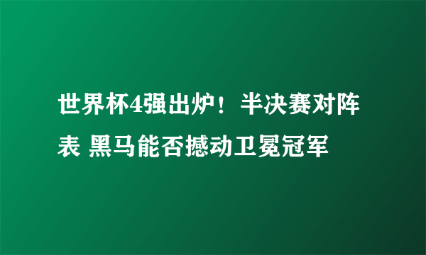 世界杯4强出炉！半决赛对阵表 黑马能否撼动卫冕冠军