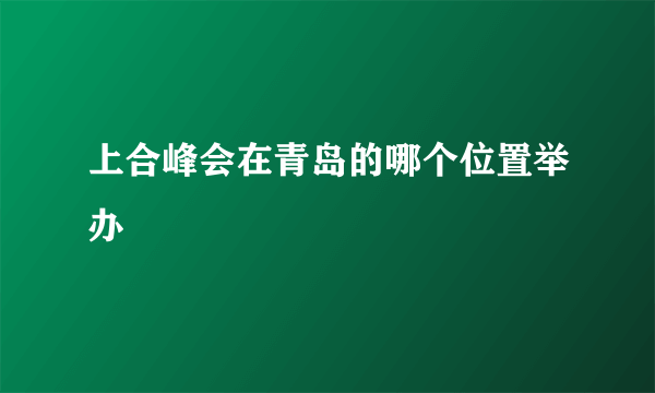 上合峰会在青岛的哪个位置举办