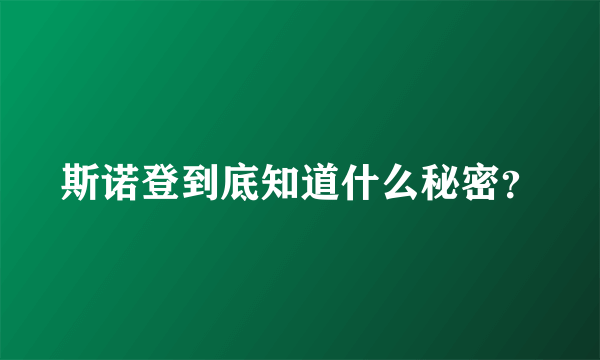 斯诺登到底知道什么秘密？