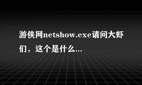 游侠网netshow.exe请问大虾们，这个是什么应用程序？