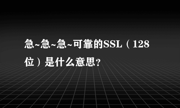 急~急~急~可靠的SSL（128位）是什么意思？