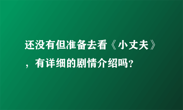 还没有但准备去看《小丈夫》，有详细的剧情介绍吗？