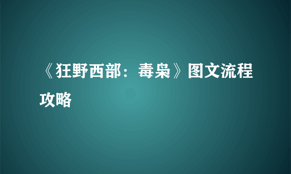 《狂野西部：毒枭》图文流程攻略