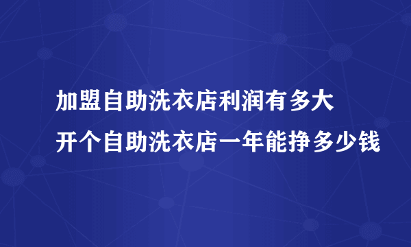 加盟自助洗衣店利润有多大 开个自助洗衣店一年能挣多少钱