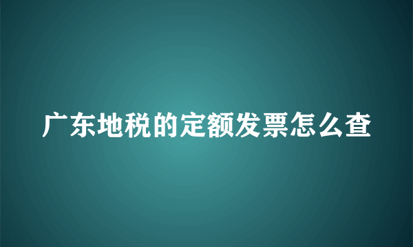 广东地税的定额发票怎么查