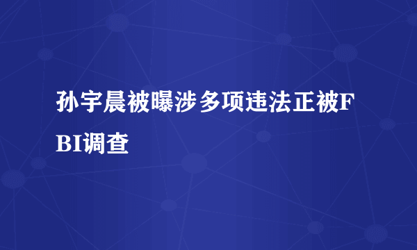 孙宇晨被曝涉多项违法正被FBI调查