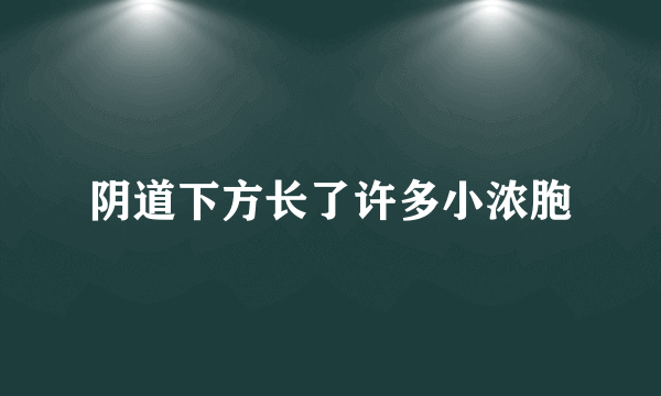 阴道下方长了许多小浓胞